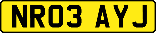 NR03AYJ