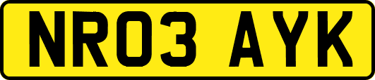 NR03AYK