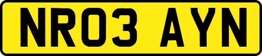 NR03AYN