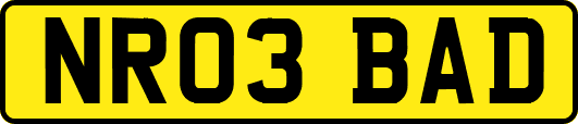 NR03BAD