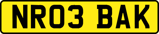 NR03BAK
