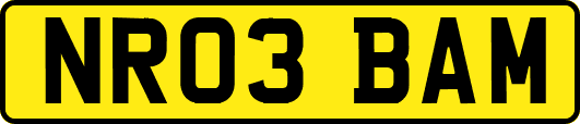 NR03BAM