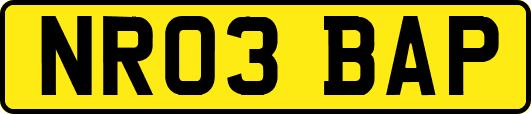 NR03BAP