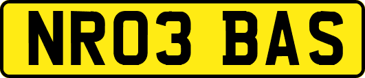 NR03BAS