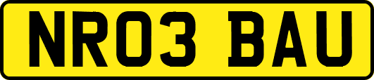 NR03BAU