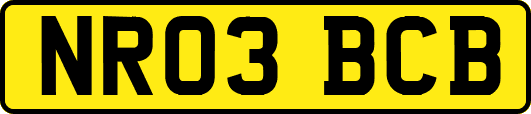 NR03BCB