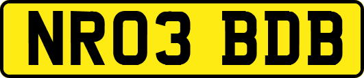 NR03BDB