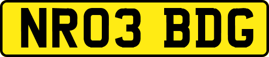 NR03BDG