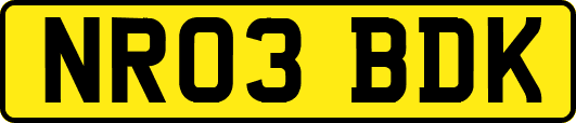 NR03BDK