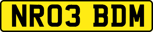 NR03BDM