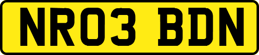 NR03BDN