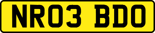 NR03BDO