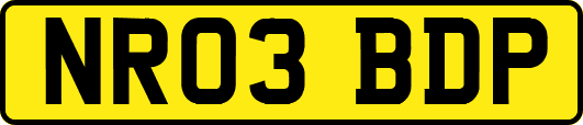 NR03BDP