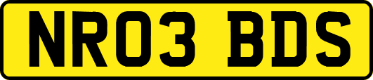 NR03BDS