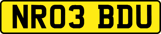NR03BDU