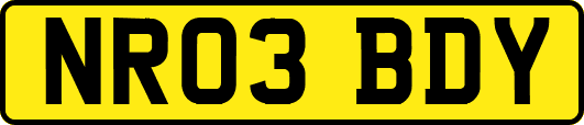 NR03BDY