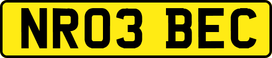 NR03BEC