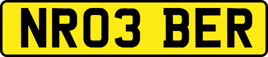 NR03BER