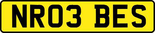 NR03BES