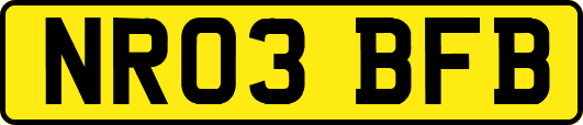 NR03BFB