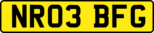 NR03BFG