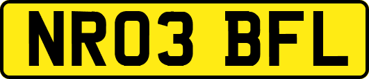 NR03BFL