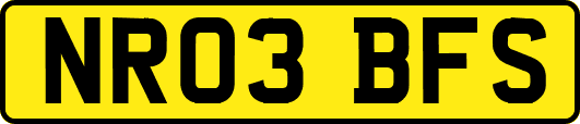NR03BFS