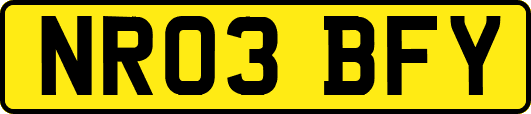 NR03BFY