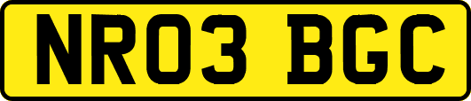 NR03BGC
