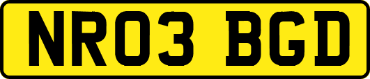 NR03BGD