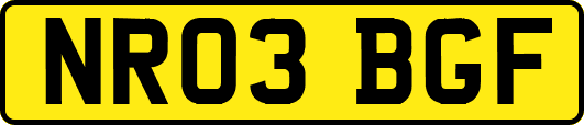 NR03BGF