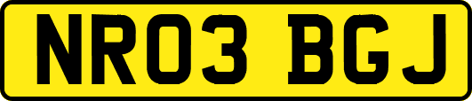 NR03BGJ
