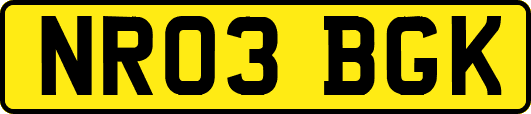 NR03BGK