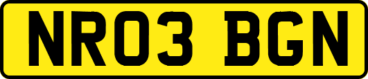 NR03BGN