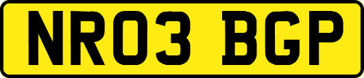 NR03BGP
