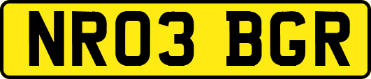 NR03BGR