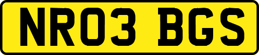 NR03BGS