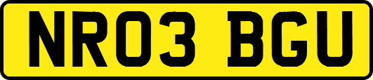 NR03BGU