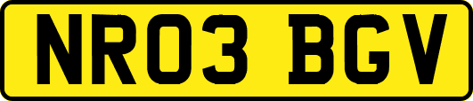 NR03BGV
