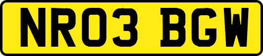 NR03BGW