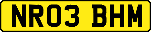 NR03BHM