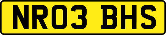 NR03BHS