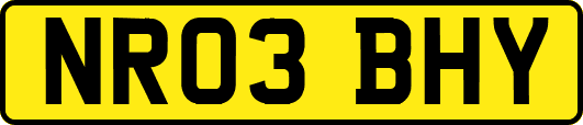 NR03BHY