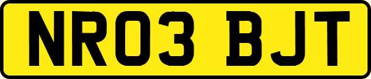NR03BJT