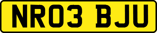 NR03BJU