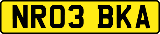 NR03BKA