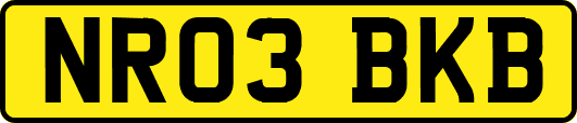 NR03BKB