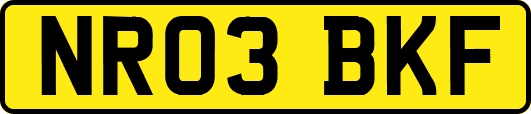 NR03BKF
