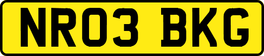 NR03BKG