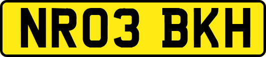 NR03BKH